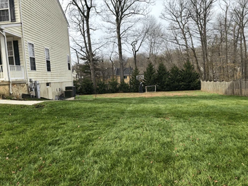 The yard after leaf cleanup