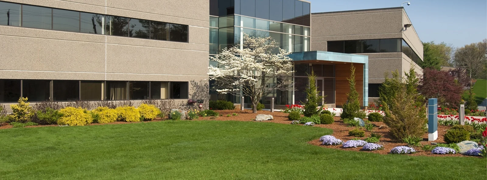 Maintained lawn and planting beds outside a commercial building