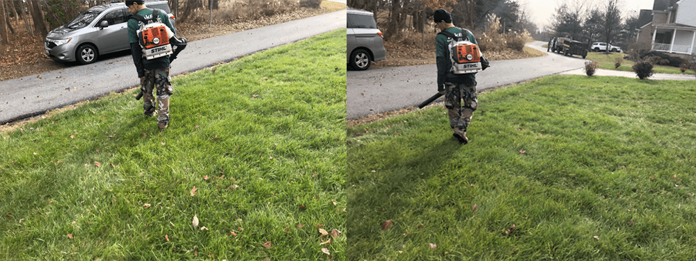 Before-and-after views of a crew member cleaning a residential lawn