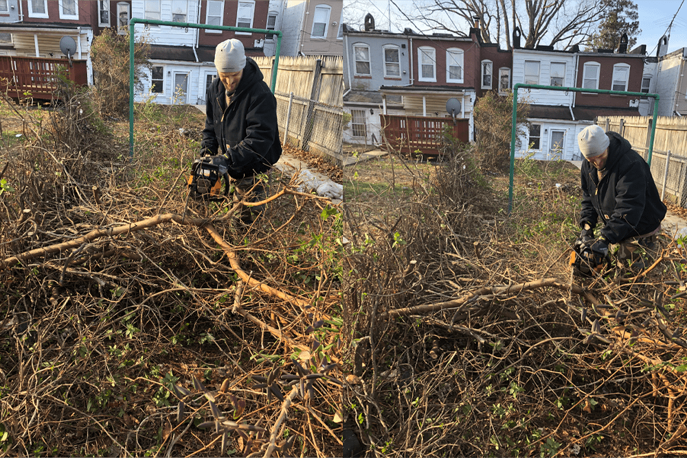 Crew clearing overgrown brush in a yard