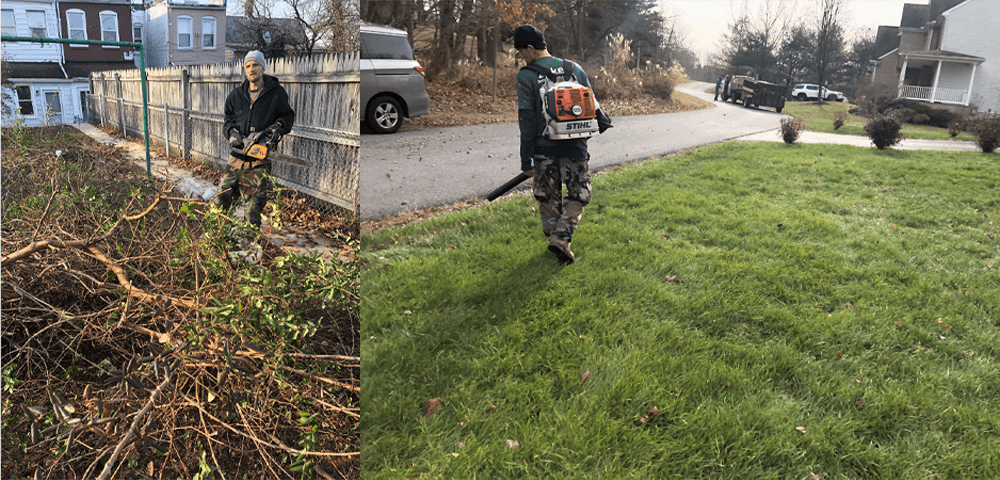 Side-by-side photos of overgrown brush and a cleared grassy yard