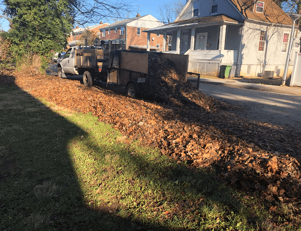 Work truck beside a long row of fallen leaves along the curb