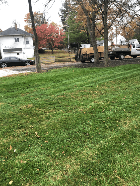 Green lawn along a residential street
